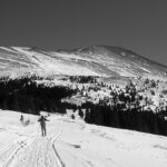 4145647021 b0ab53b5d6 o