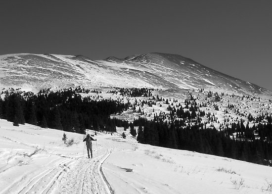 4145647021 b0ab53b5d6 o