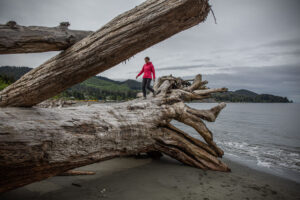 a woman hiking on a big log in hiking boots